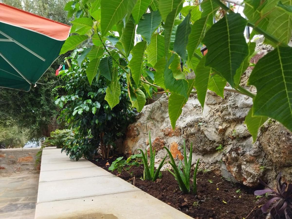 Rodomelo House - 3 Bedrooms เลโอนีดีออน ภายนอก รูปภาพ